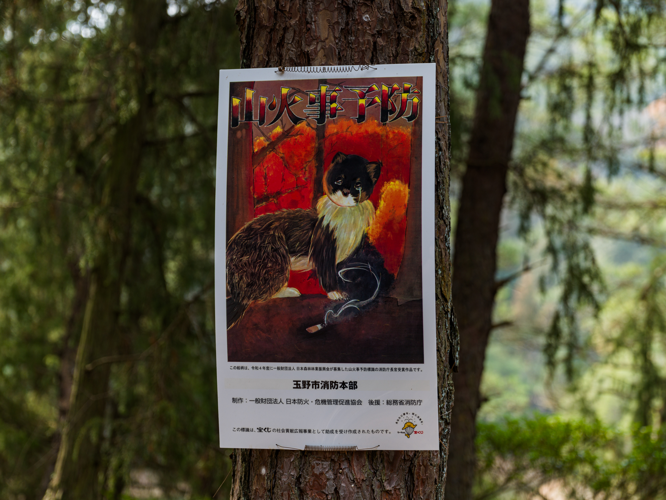 YUTA録K–1 Mk2、Nikon Df、LeicaM10-R、Leica SL2-S、Leica Q2のカメラ