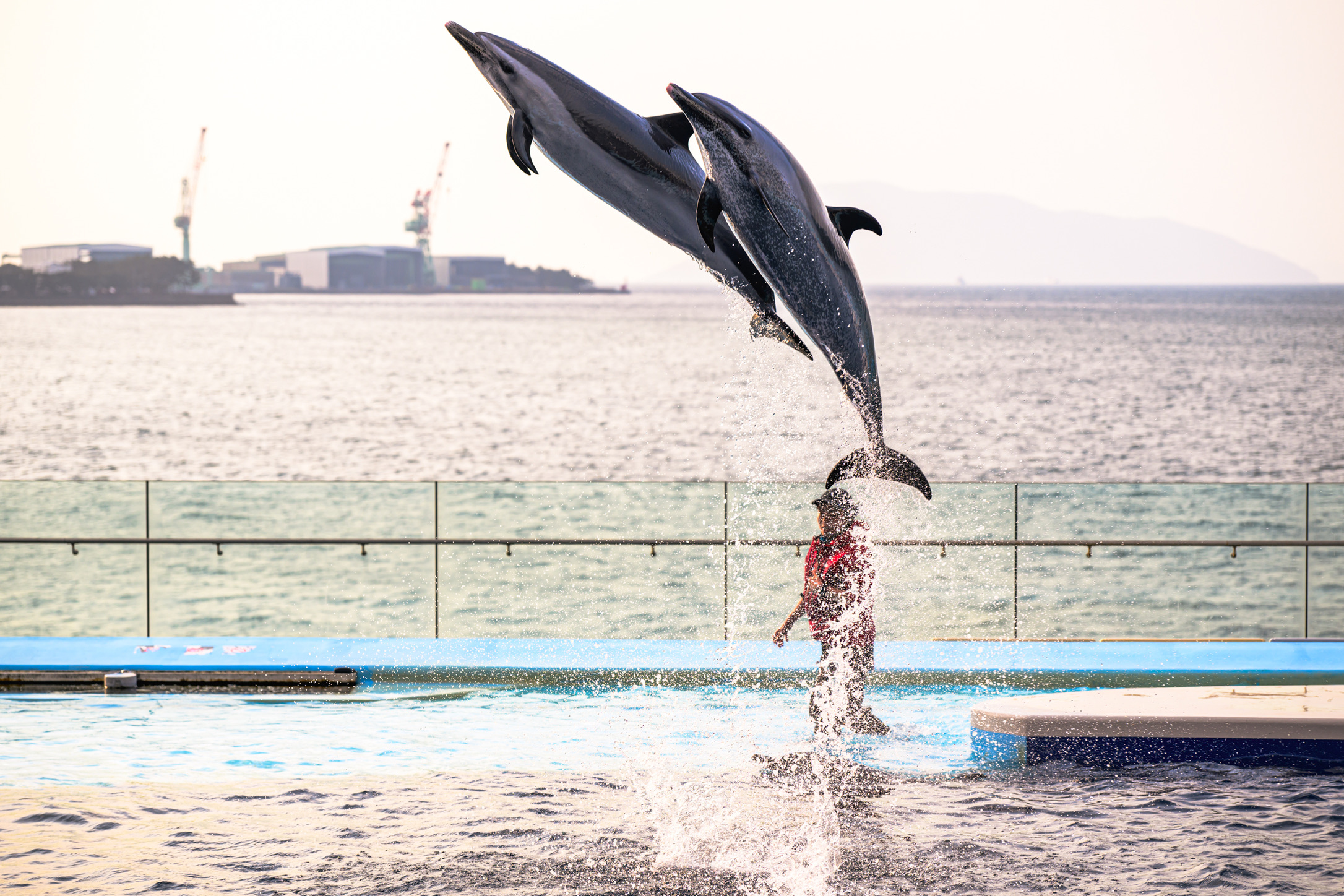 YUTA録K–1 Mk2、Nikon Df、LeicaM10-R、Leica SL2-S、Leica Q2のカメラ